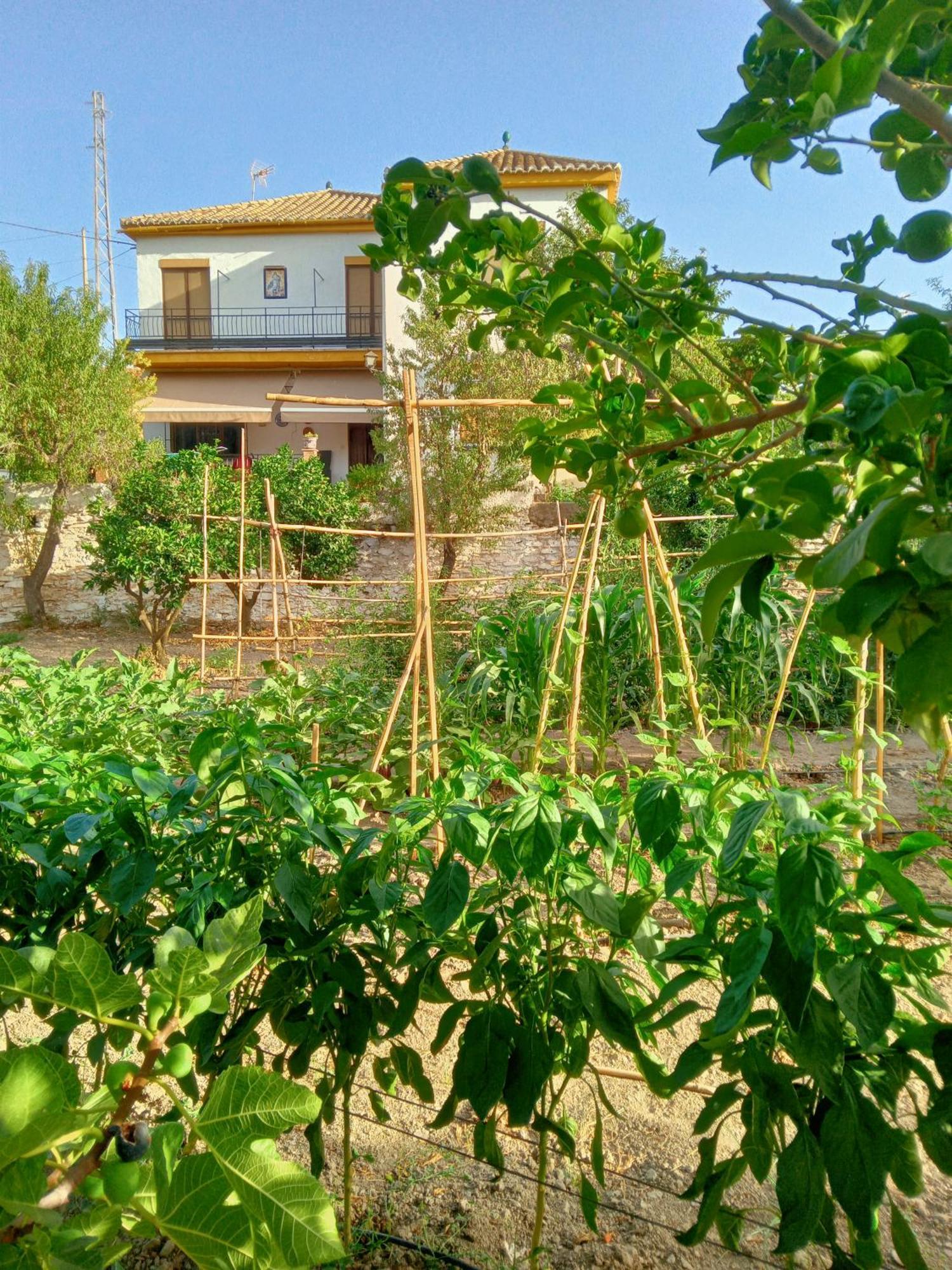 Tuguest Hortichuela House Vila Ugijar Exterior foto